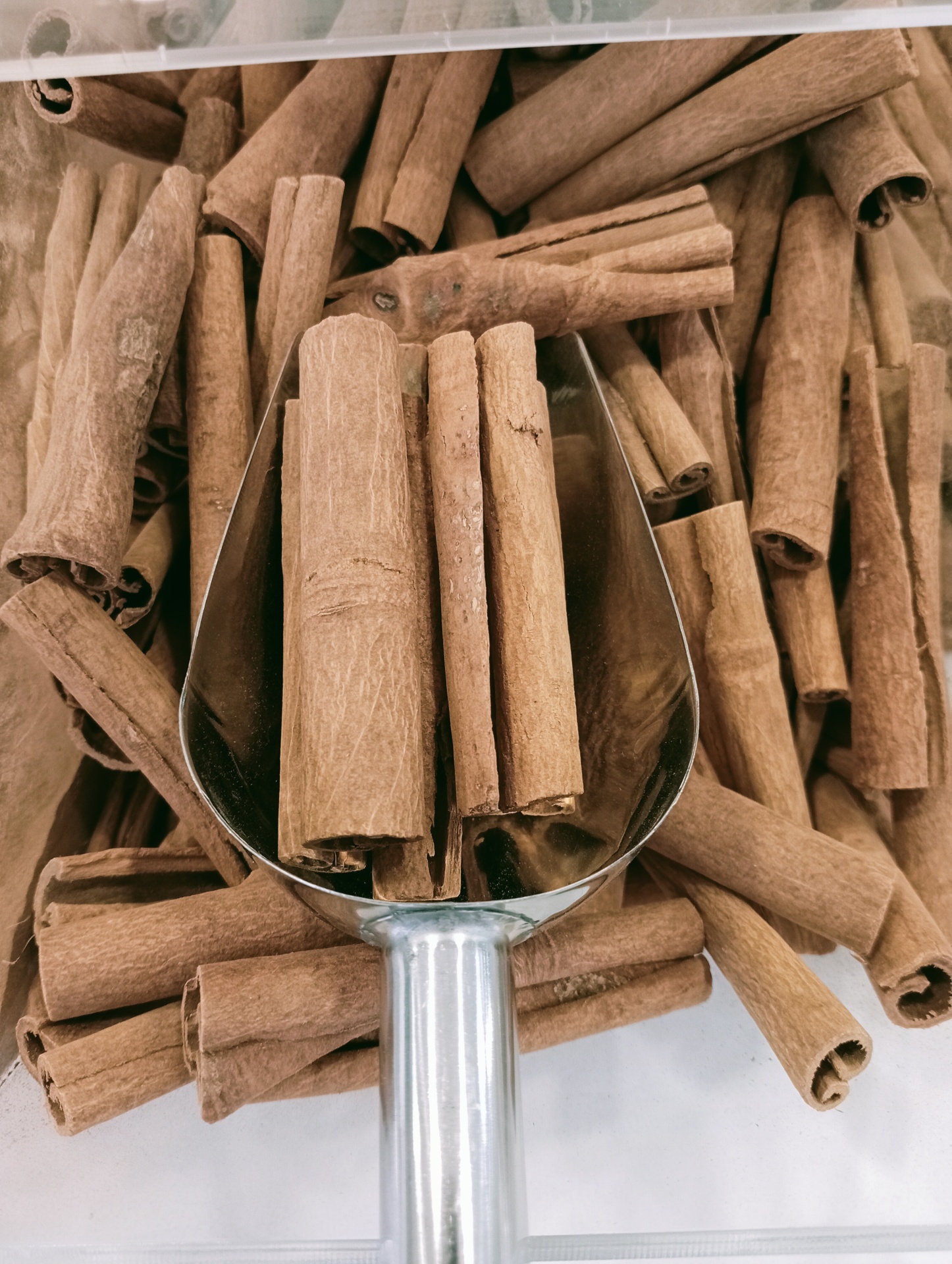 Canela Cássia em Pau GRANEL Paus de canela numa colher metálica dentro de caixa transparente