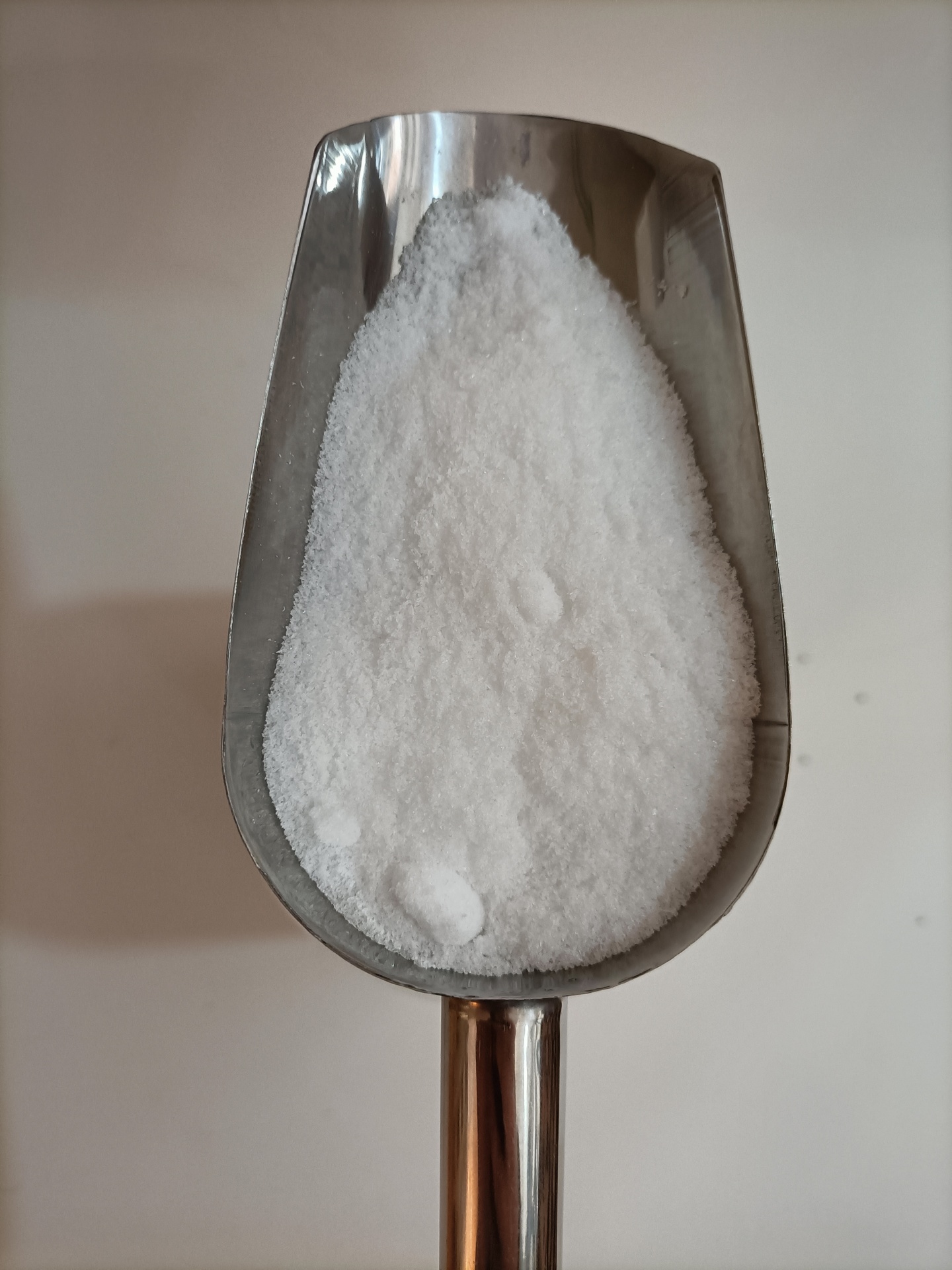 MSM em Pó GRANEL Colher de metal com sal grosso branco