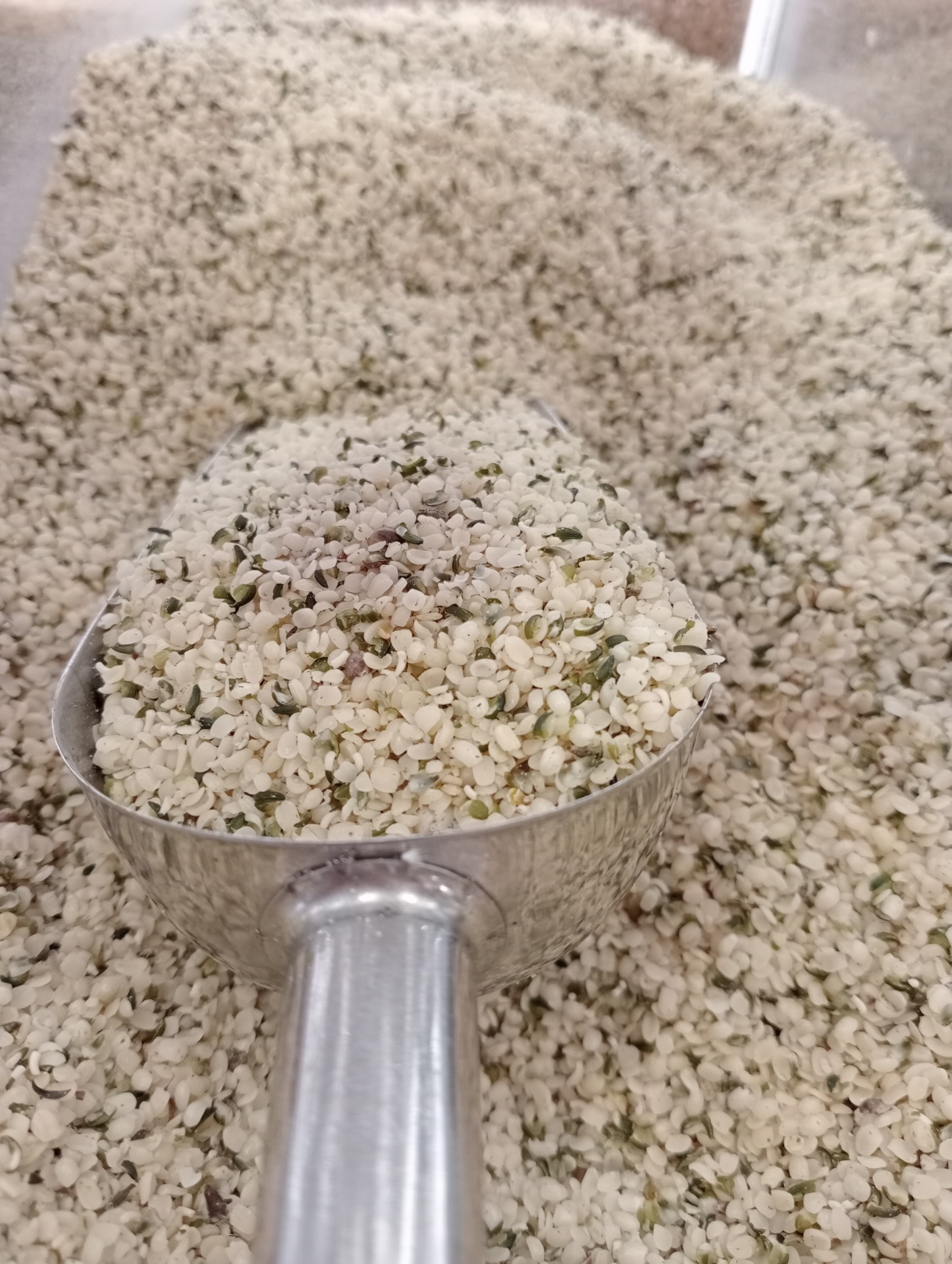 Sementes de Cânhamo GRANEL Pá metálica cheia de pequenos grãos brancos com fragmentos verdes sobre uma superfície revestida do mesmo material