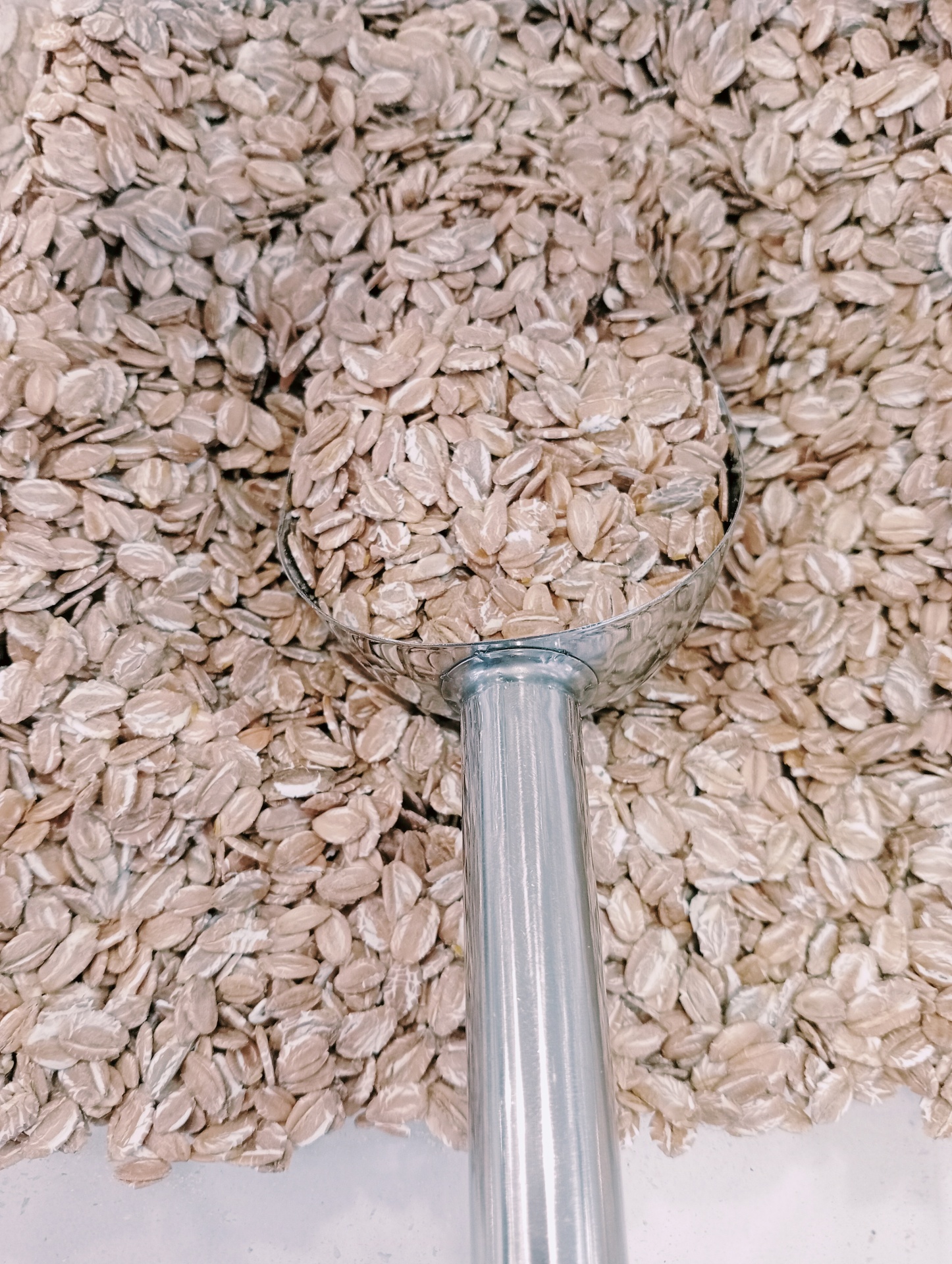 Flocos de Centeio GRANEL Colher metálica sobre aveia em flocos