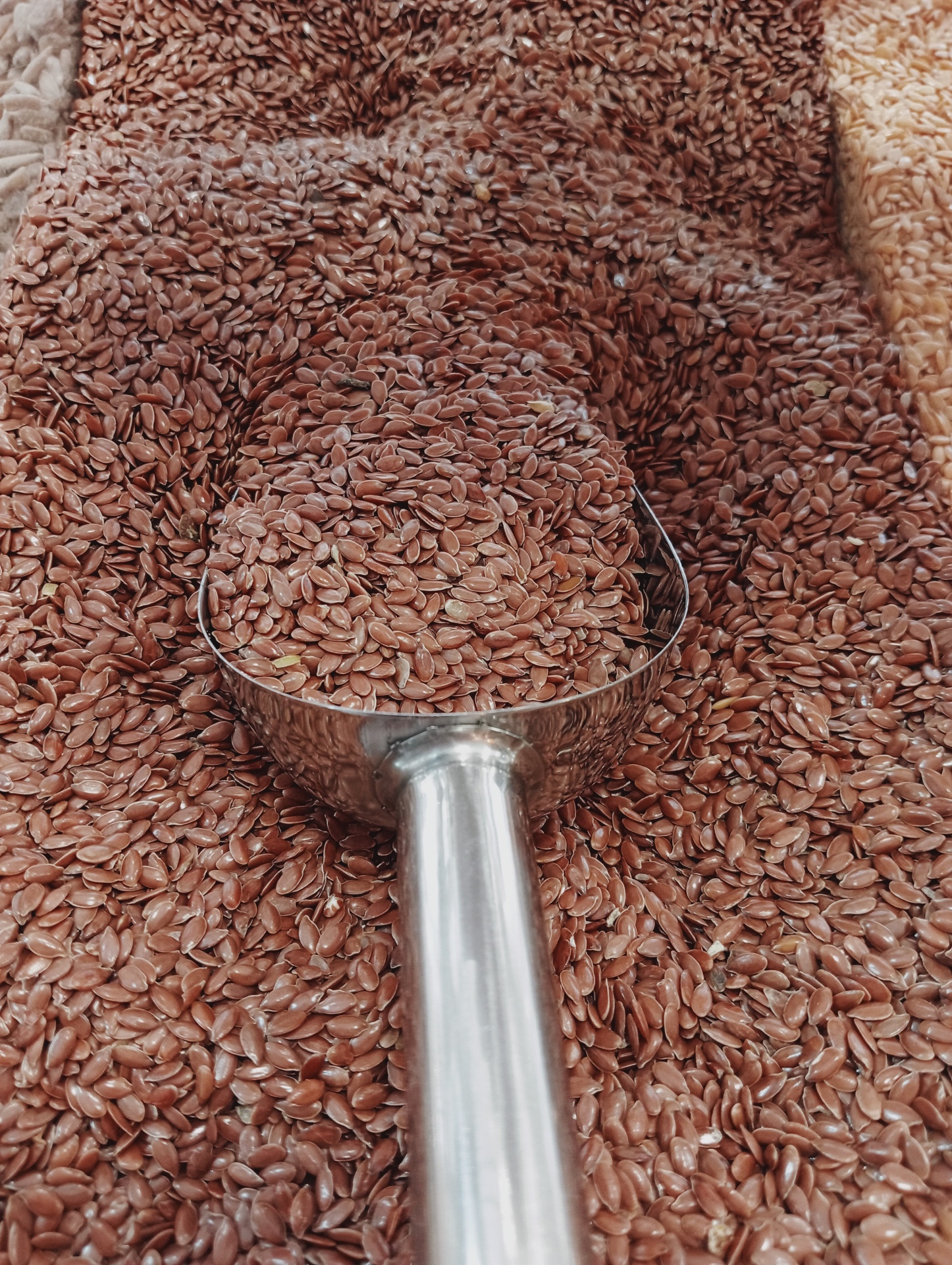 Sementes de Linhaça Castanha GRANEL Sementes castanhas com colher metálica