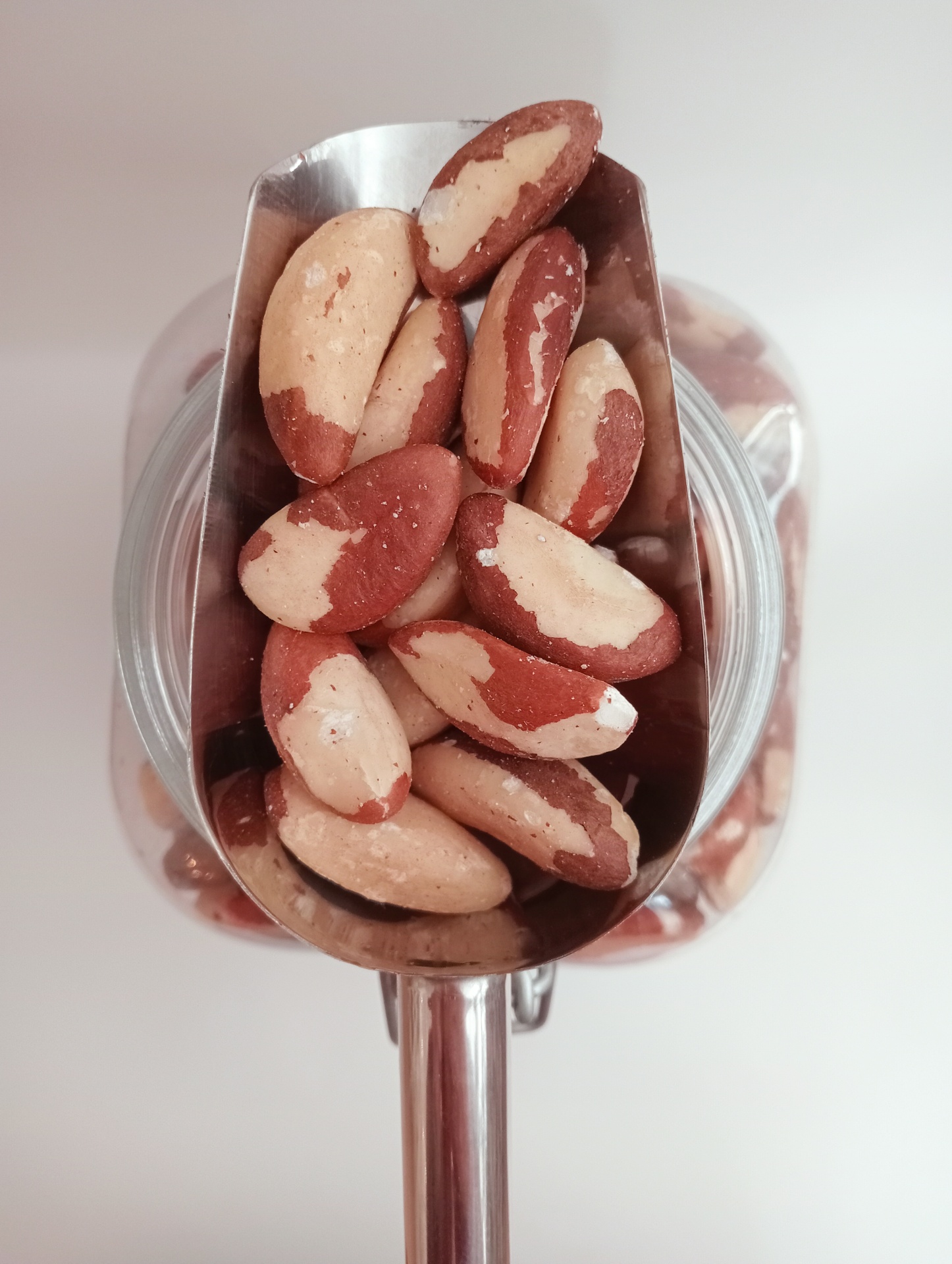 Castanha do Brasil GRANEL Concha metálica com nozes do Brasil bicolores sobre frasco de vidro cheio