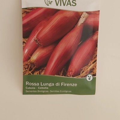 Pacote sementes cebola Rossa Lunga di Firenze Semillas Vivas