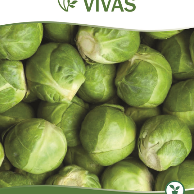 Pacote de sementes biológicas Groninger para Couve-de-Bruxelas com imagem de couves verdes