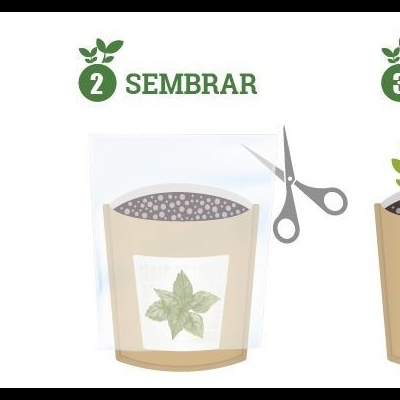 Ilustração de quatro etapas de cultivo de planta com texto 'ABRIR', 'SEMBRAR', 'COSECHAR'