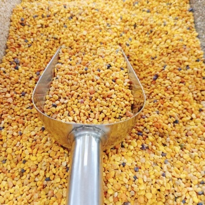 Peneira metálica cheia de pólen de abelha amarelo e laranja sobre superfície clara