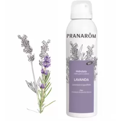 Frasco branco de hidrolato de lavanda Pranarôm com rótulo lilás e ramos de lavanda