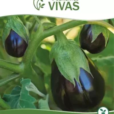 https://www.desafiosaudavel.pt/product/sementes-vivas-beringela