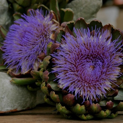 Dois corações iluminados com flores roxas em superfície de madeira