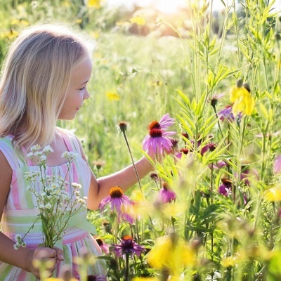 Menina loira num campo de flores silvestres, segurando flores e tocando outras flores.