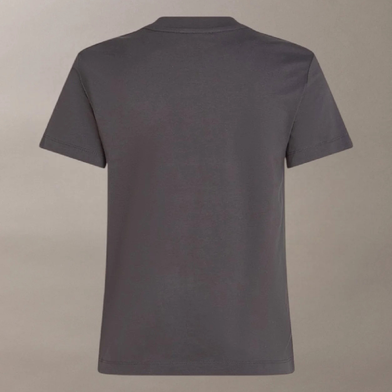 Camiseta cinzenta lisa de manga curta vista de costas