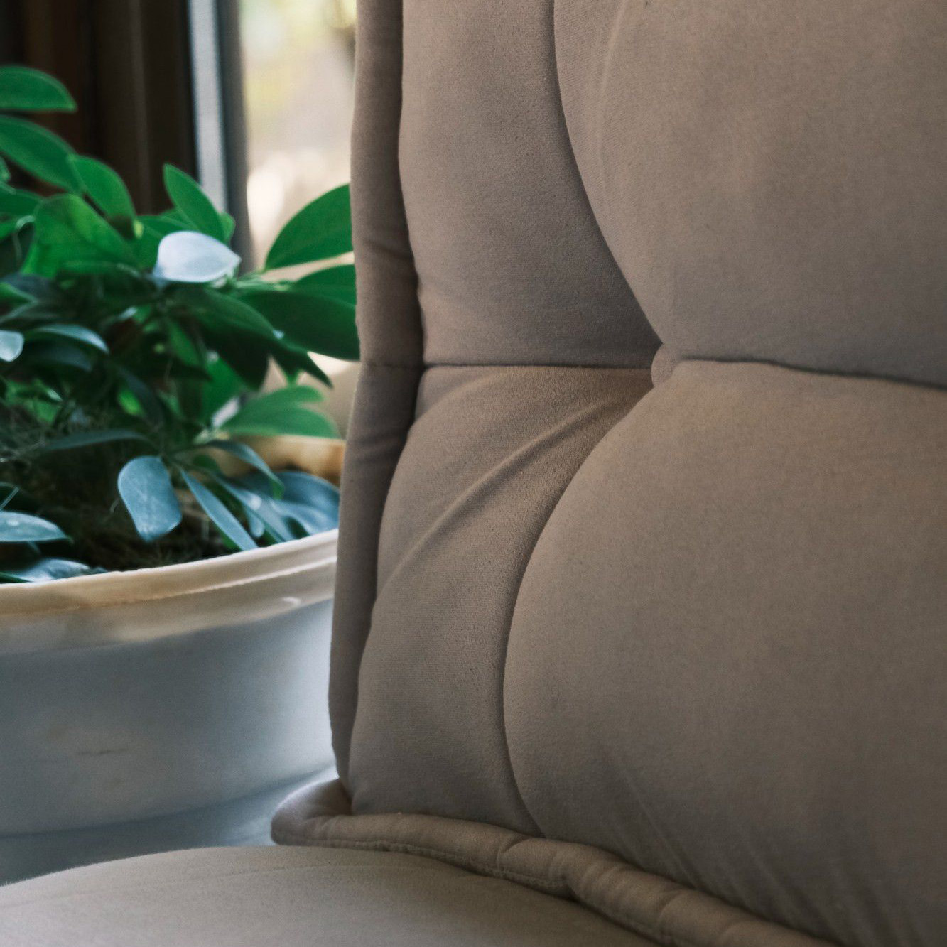 Cadeira estofada cinzenta com vaso branco e planta verde ao lado