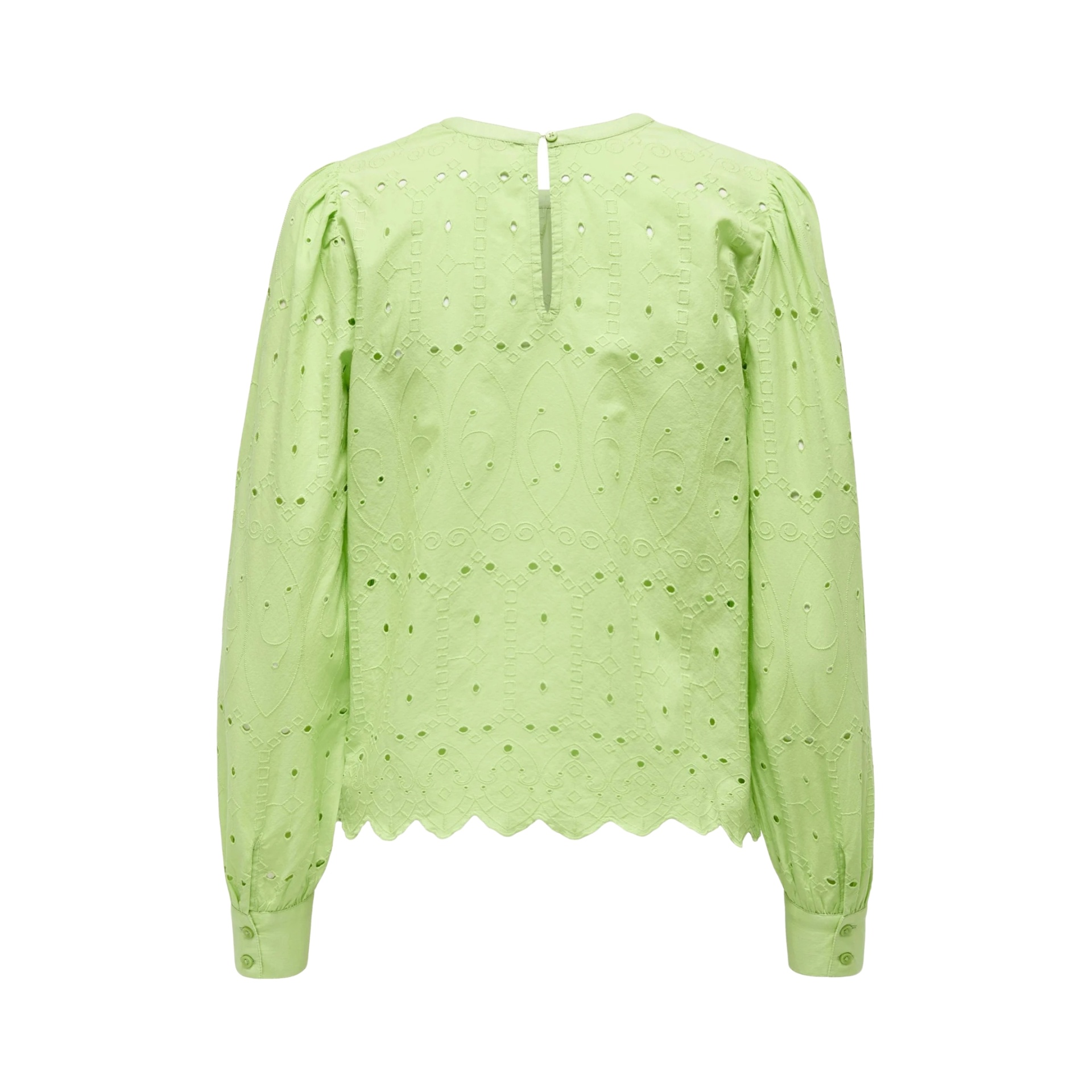 Blusa feminina verde claro com bordado inglês e mangas compridas vista de costas