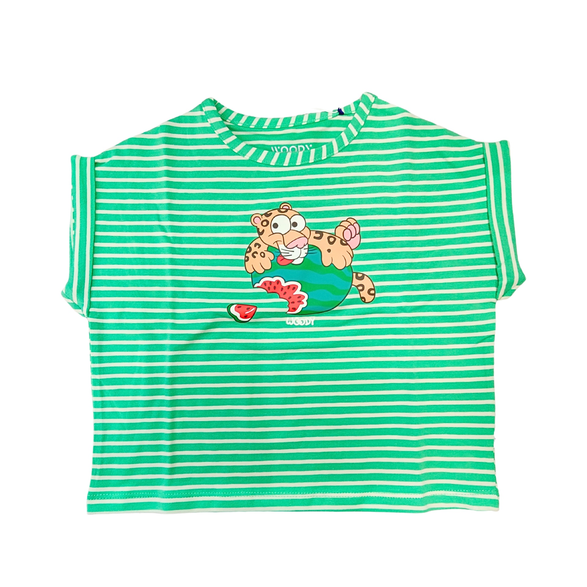 T-shirt verde riscada com estampa de leopardo segurando melancias