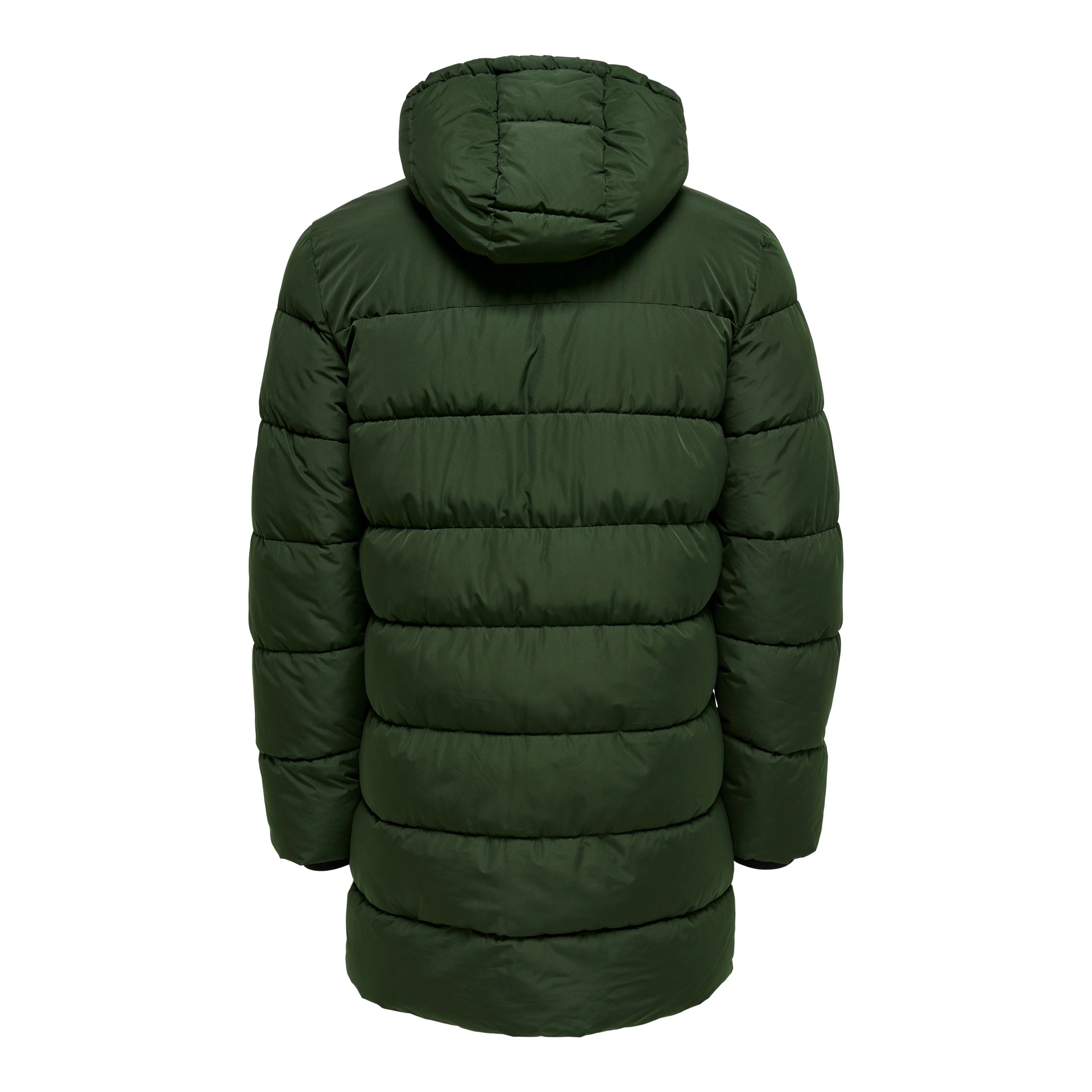 Casaco verde escuro acolchoado com capuz, visto por trás.