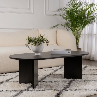 Mesa de centro ovalada preta com vaso e livro, sofá e planta ao fundo