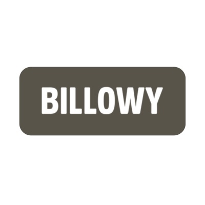 Etiqueta retangular castanha com texto BILLWY branco