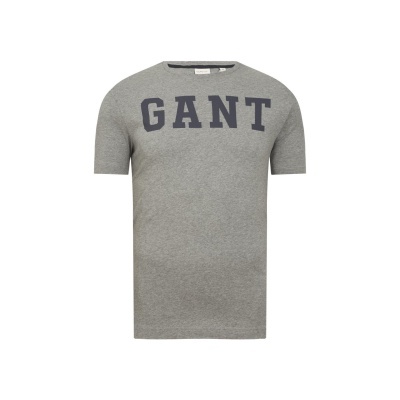T-shirt cinzenta com texto GANT azul