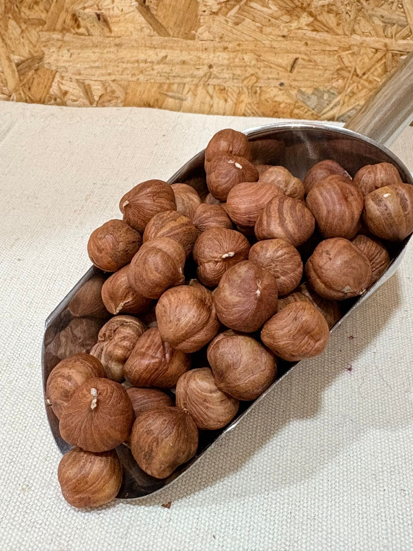 Miolo de Avelã Concha metálica com avelãs com casca castanha sobre tecido claro e fundo de madeira