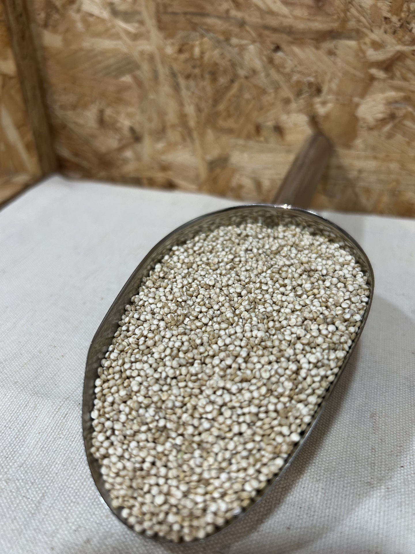 Quinoa Real Pá metálica cheia de grãos pequenos brancos sobre tecido claro com fundo de madeira OSB