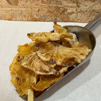 Fatias de ananás desidratado numa espátula de metal sobre tecido bege