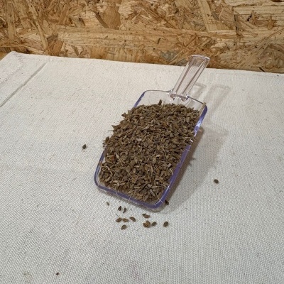 Pá plástica transparente cheia de sementes castanhas sobre tecido beige e fundo de madeira compensada