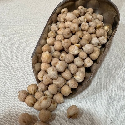 Colher metálica com grão-de-bico cru sobre tecido claro