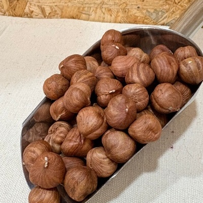 Concha metálica com avelãs com casca castanha sobre tecido claro e fundo de madeira