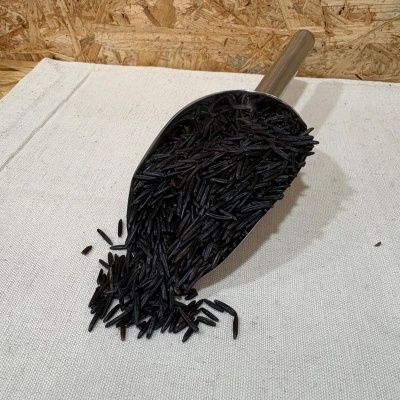 Colher metálica com arroz preto sobre pano branco com fundo de madeira OSB