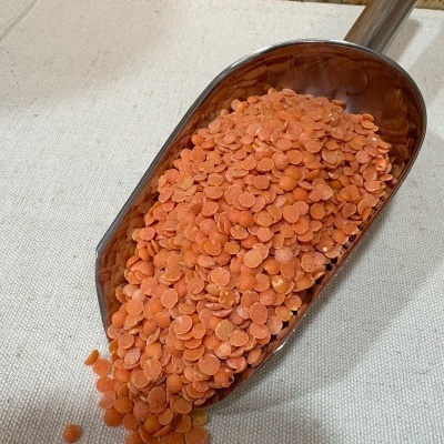 Concha metálica com lentilhas vermelhas secas sobre pano bege