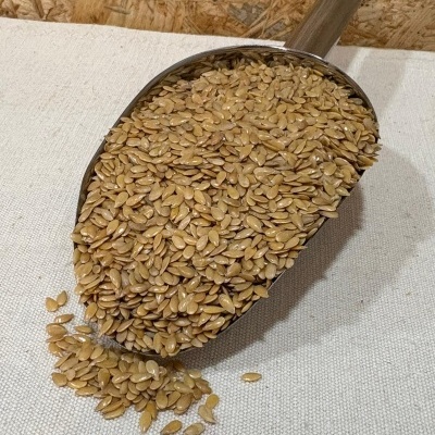 Pá metálica com sementes douradas sobre tecido bege