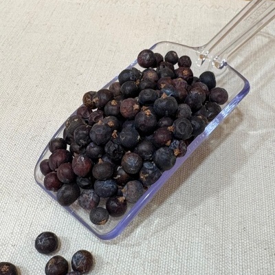 Colher plástica com bagas escuras pequenas sobre tecido bege