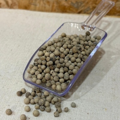 Espátula transparente com grãos bege claros sobre tecido