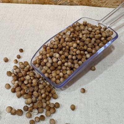 Pá transparente com grãos marrons redondos e estriados sobre tecido bege