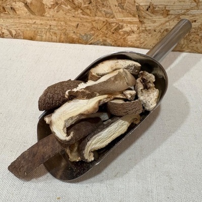 Pá metálica com cogumelos secos