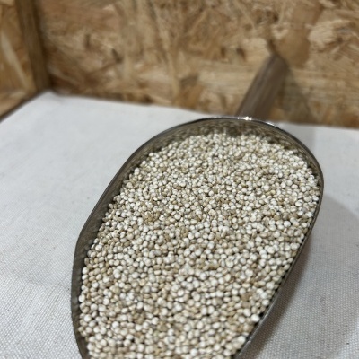 Pá metálica cheia de grãos pequenos brancos sobre tecido claro com fundo de madeira OSB