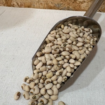 Palanqueta metálica com feijão-frade cru sobre tecido branco e fundo madeira