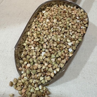 Pá metálica com trigo sarraceno a cair sobre tecido bege