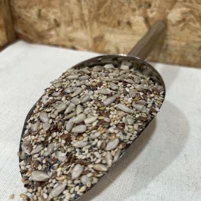 Pá metálica com mistura de sementes variadas