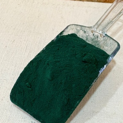 Pá de plástico com pó verde escuro