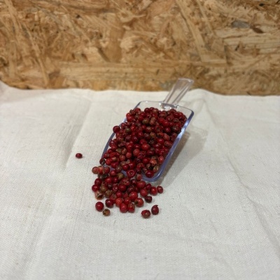 Escova plástica transparente com bagas vermelhas sobre pano branco