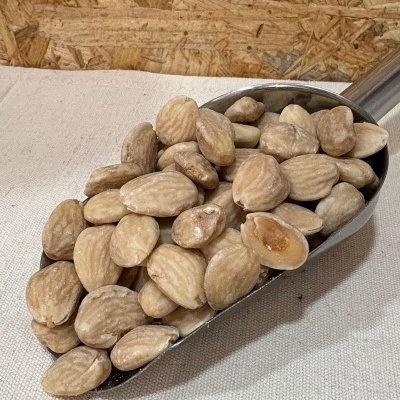 Concha metálica com amêndoas com casca sobre tecido bege