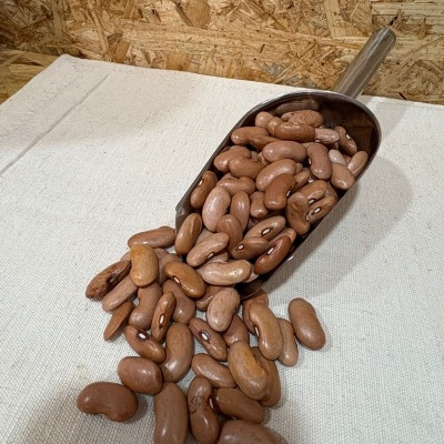 Feijão castanho numa colher metálica sobre tecido bege com fundo de madeira