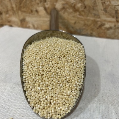 Colher metálica cheia de grãos pequenos brancos e bege sobre tecido branco