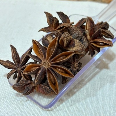 Estrelas de anis secas castanhas numa espátula plástica transparente