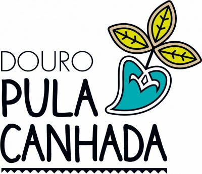 Logótipo com texto e ilustração colorida sobre fundo branco