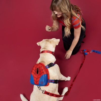 Cão com arnês e mochila do Homem-Aranha com mulher ao lado em fundo vermelho