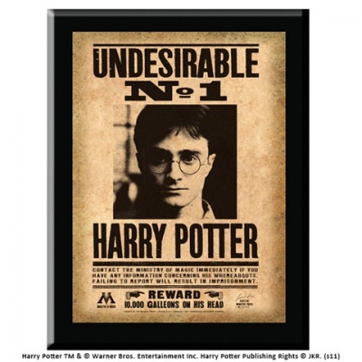 Poster do Harry Potter com texto 'Undesirable nº 1' e recompensa