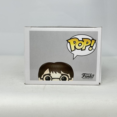 Caixa branca com personagem Funko Pop com cabelo castanho, óculos redondos e cicatriz na testa