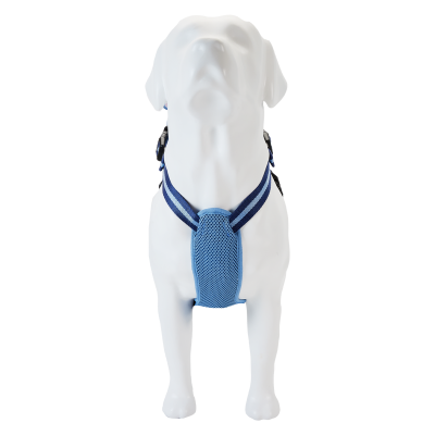 Peitoral azul em cão manequim branco